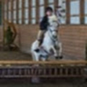 Meet your Posher, Addi